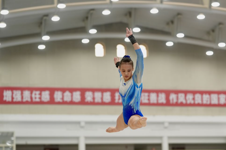 乐鱼体育官方入口注册流程详解