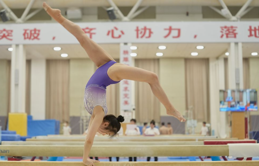 乐鱼体育入口移动端的优势与特点
